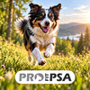 Profitpsa
